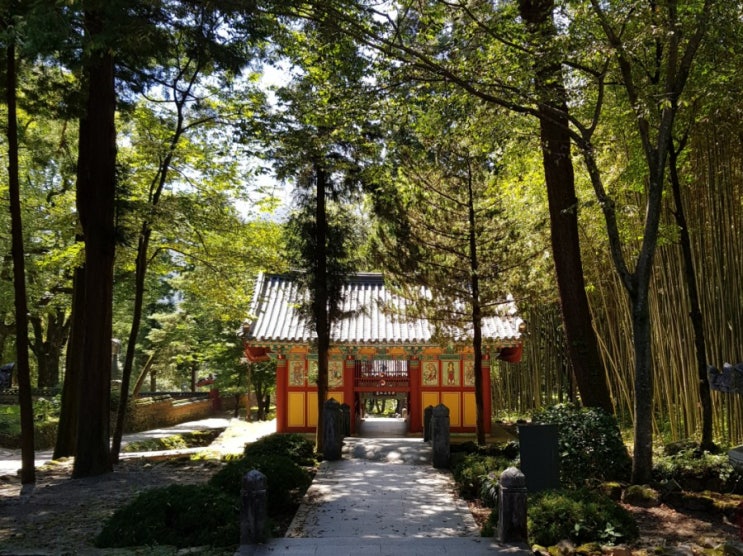  2020.08.18-20. | 진주 하동 | 매암제다원, 쌍계사