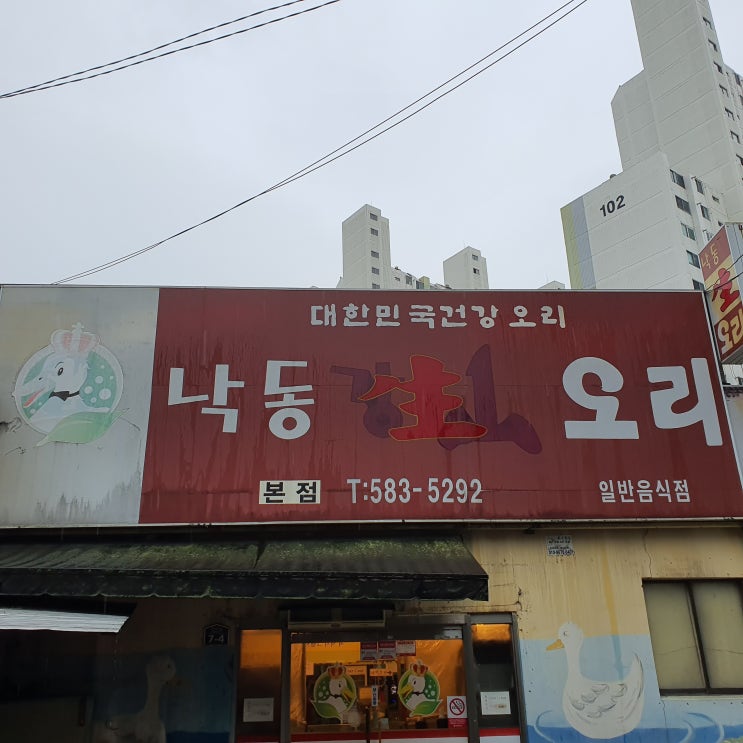  [대구/다사맛집] 기력보충에 "낙동 생 오리" 한판
