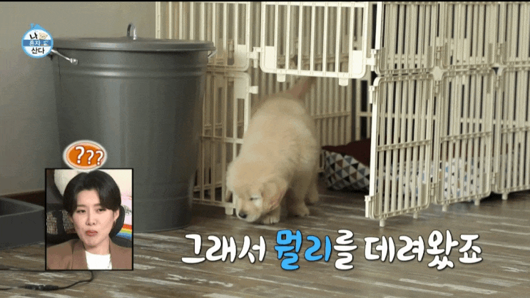  <21.01.29>연극 단체 채팅방 박은석 허위사실 유포 위자료 청구 소송 사연은!
