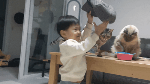  사고뭉치 태평이~ 집안살림 뿌셔뿌셔 ft 화장실변기막힘