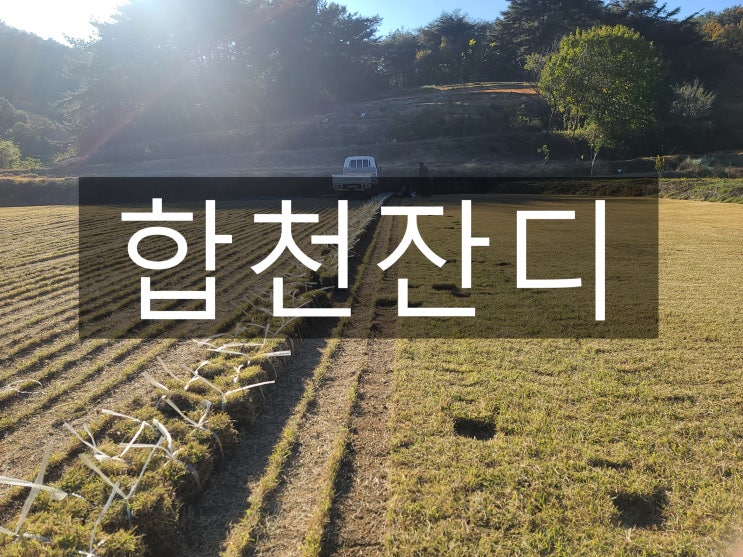  물이 맑고 경치가 수려한 합천 잔디 배송