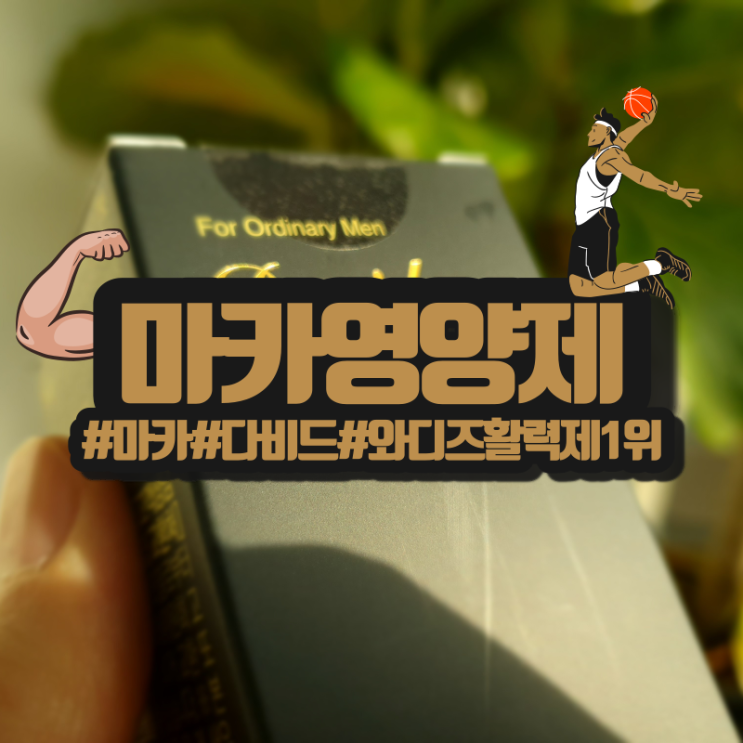  와디즈 활력제1위 남성 영양제 다비드!(feat.마카)