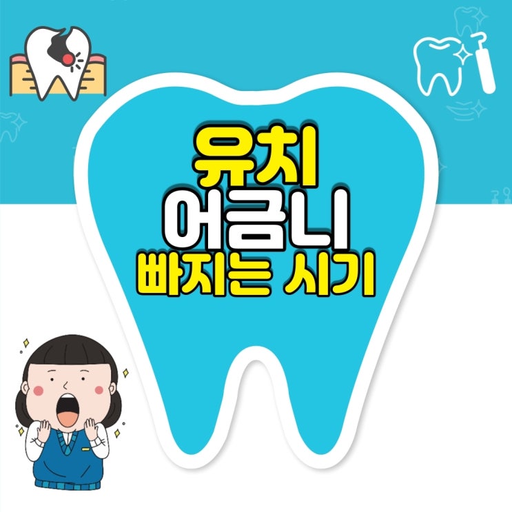  유치 어금니 빠지는 시기 몇 살?! 영구치 개수 세어보자