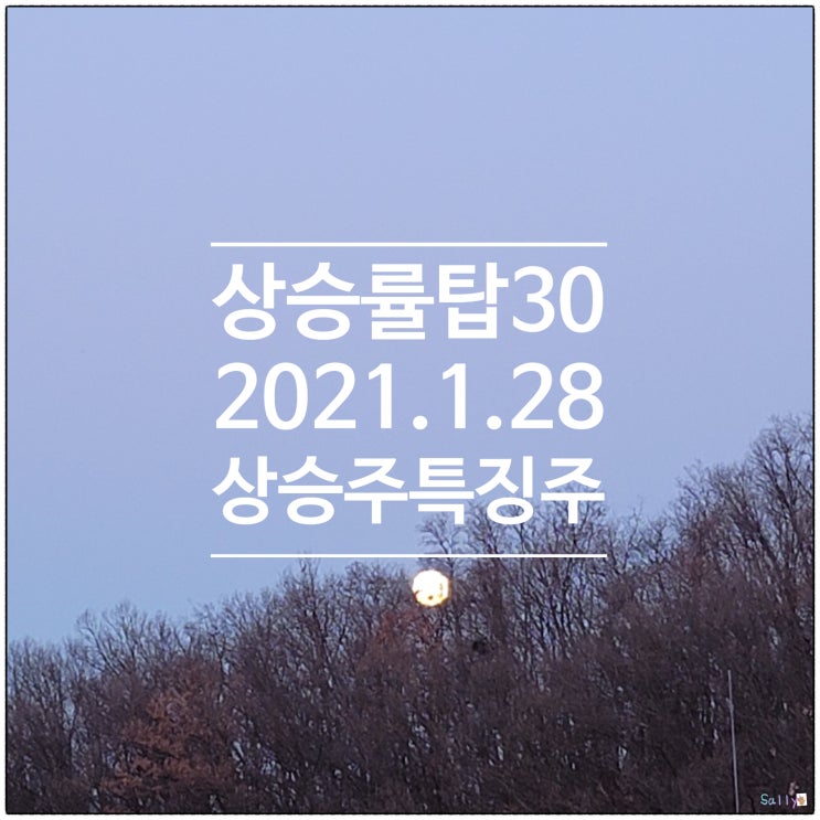  상승률TOP30종목과 특징주