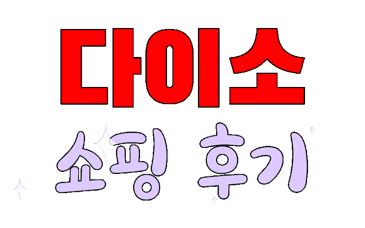  엄청 넓고, 물건도 다양했던 서현 다이소