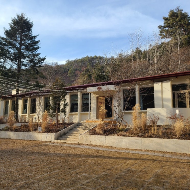  ʚ카페ɞ 춘천 오월학교 인스타핫플카페