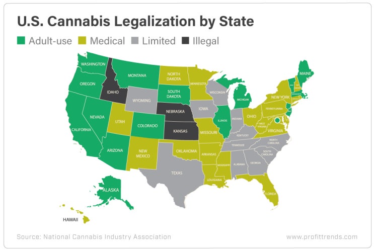  [미국 주식] 2021년 주목 받을 수 있는 마리화나 관련주 10선, Best 10 Marijuana Stocks List for 2021