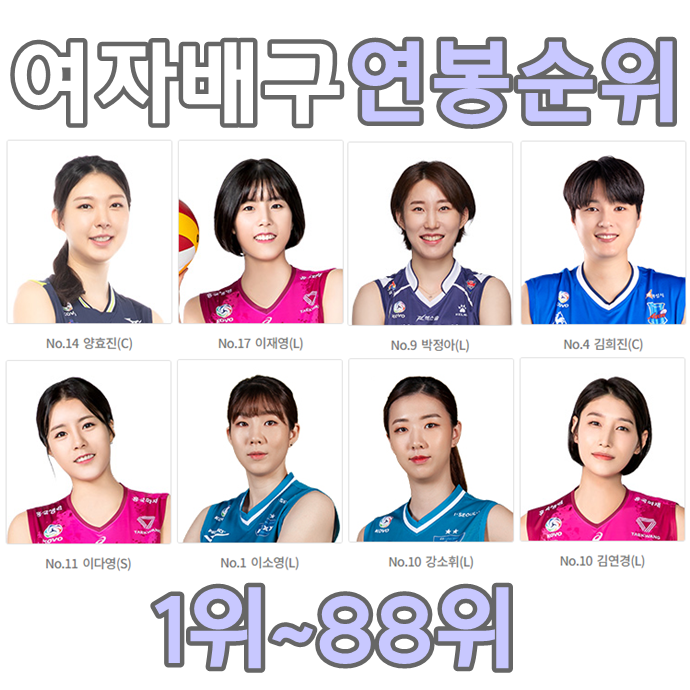  여자배구 연봉순위
