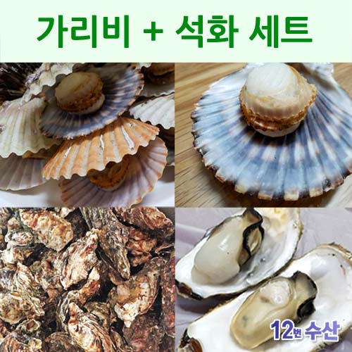 선호도 높은 통영12번수산 가리비 석화세트, 가리비 2kg + 석화 3kg, 1세트 ··· 선호도 높은 통영12번수산 가리비 석화세트, 가리비 2kg + 석화 3kg, 1세트 ···