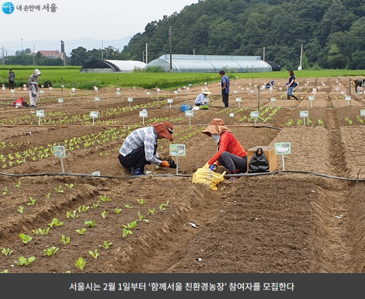  서울시> '함께하는 서울 친환경농장'  참여자 모집 안내( 2. 1 9시~ 3. 2 18시)