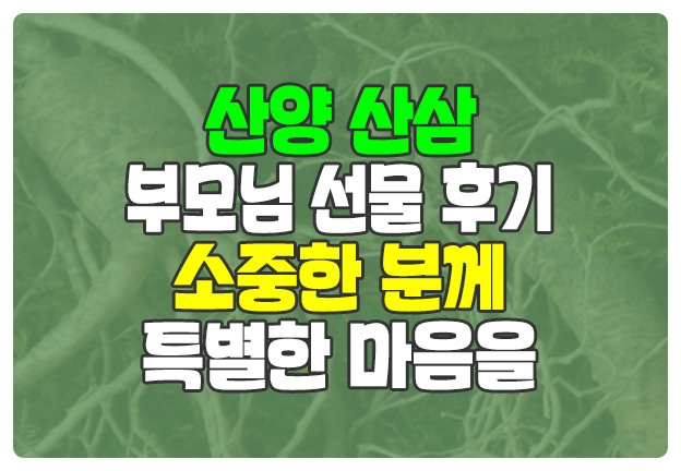산양산삼 부모님 명절 생신 선물로 가격 부담 없이 구입한 후기 산양산삼 부모님 명절 생신 선물로 가격 부담 없이 구입한 후기