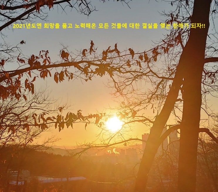 칠성사이다·펩시콜라 비싸진다…롯데칠성, 음료 가격 인상 칠성사이다·펩시콜라 비싸진다…롯데칠성, 음료 가격 인상