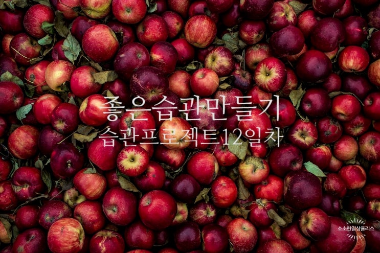 좋은 습관 만들기 습관프로젝트12일차