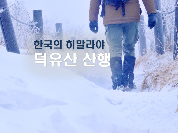 덕유산 등산코스/덕유산 눈꽃 산행/안성탐방지원센터-동엽령-백암봉-중복-향적봉/한국의 히말라야