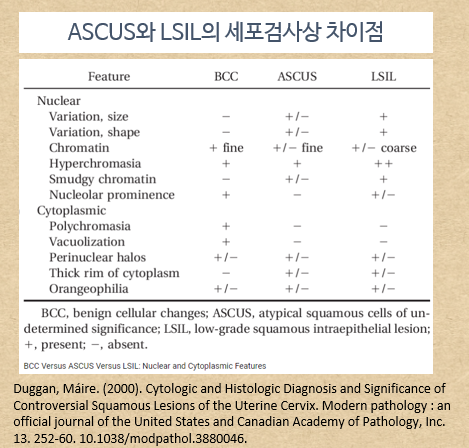 자궁경부암 아스쿠스 ASC-US, ascus, LSIL저등급이형성증 치료_인천 송도 한의원 시흥 청라 면역력관리 : 네이버 블로그