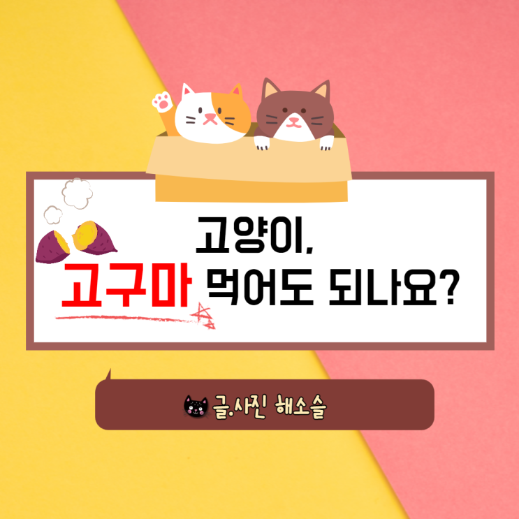  고양이 고구마 먹어도 되나요?