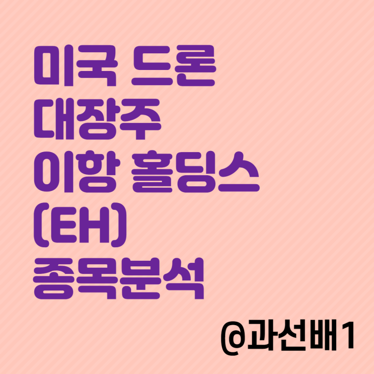  이항 홀딩스(EH) 주가,종목분석 : ARKX의 부름을 받을 나스닥 드론 관련주의 대장주