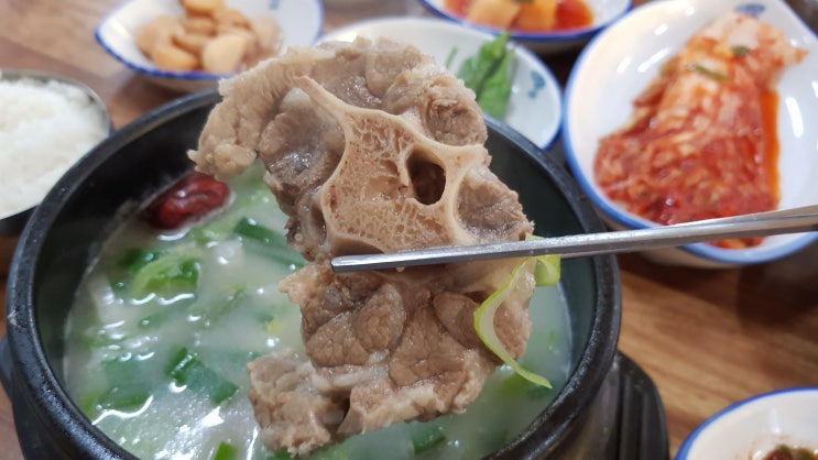  김천 밥집 송보탕 꼬리곰탕 한 그릇