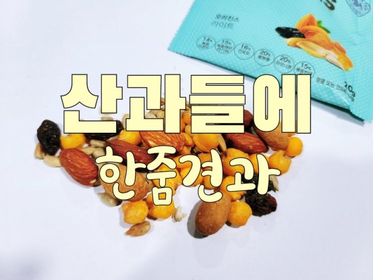  맛과 영양까지 가득했던 산과들에 한줌견과