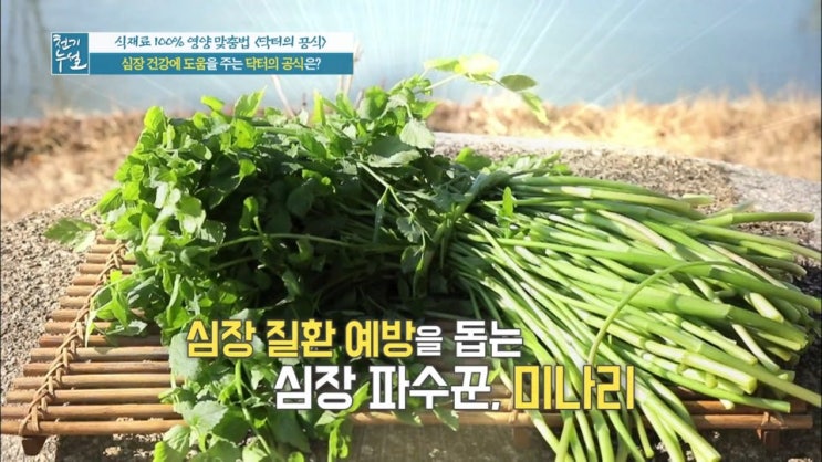  천기누설 미나리 세척법을 알아보기