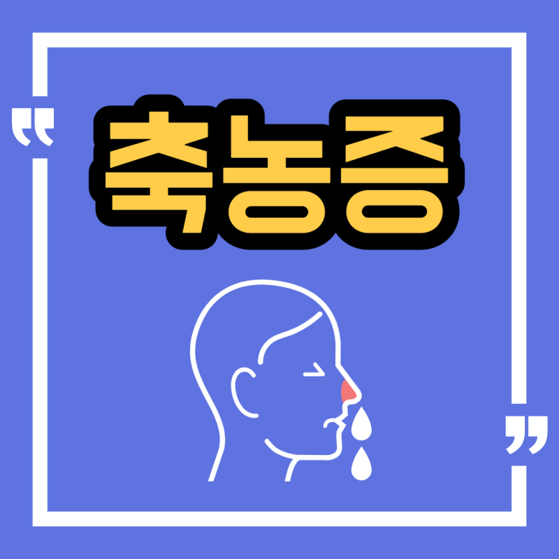 알레르기 비염약(만성 비염, 축농증 약 정하기)