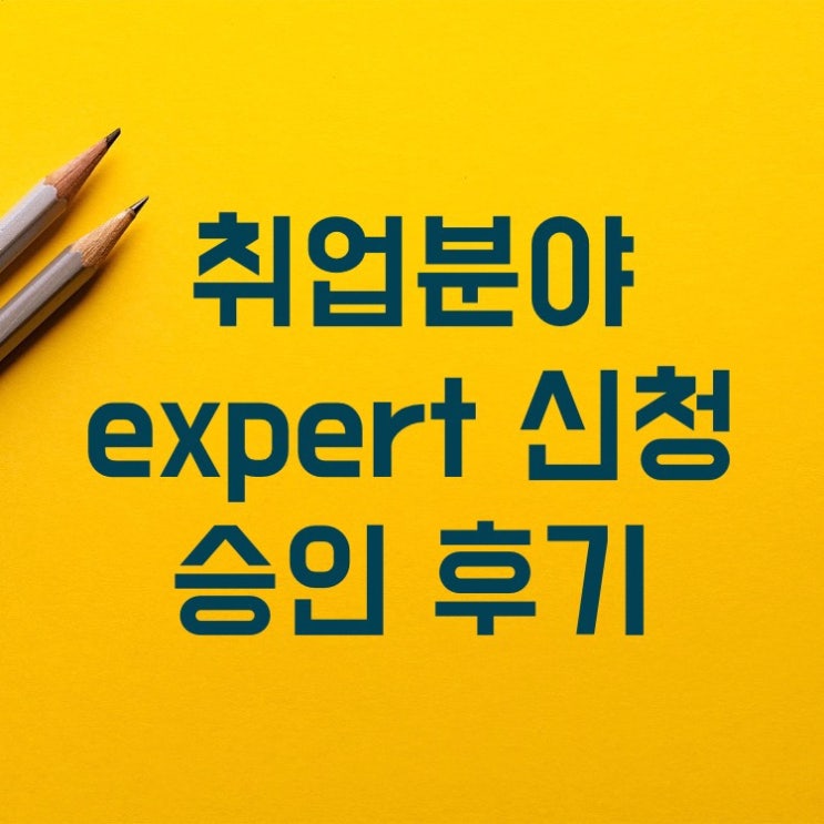 네이버 expert 신청, 취업 분야 expert 승인 되었어요! (feat. 엑스퍼트 가이드 클래스 수강 후기)