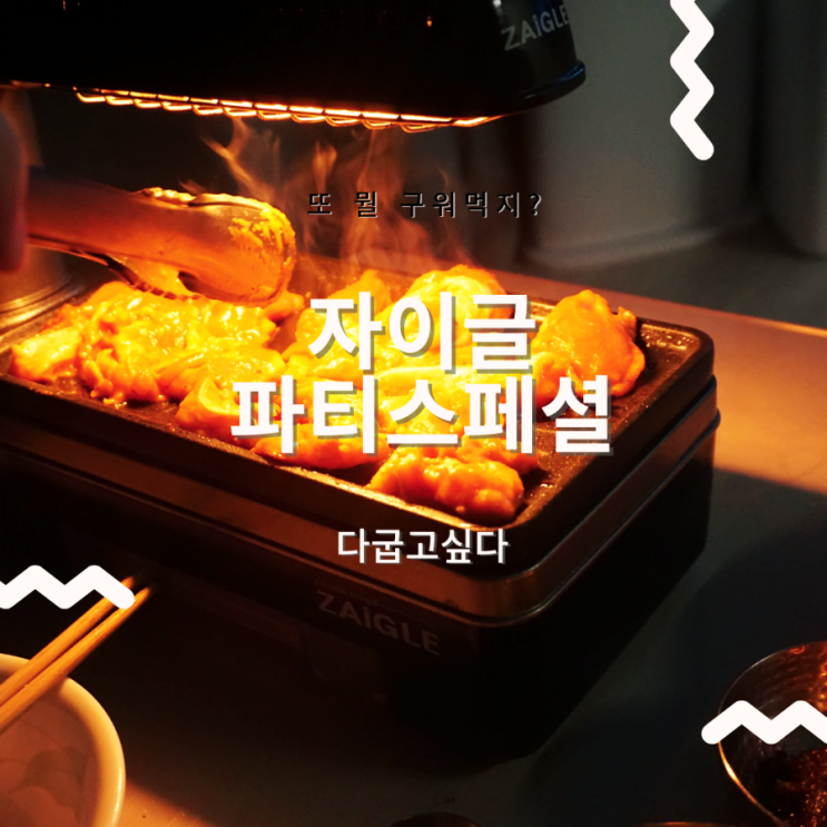  드디어산아이템_자이글파티스페셜 자이글장단점