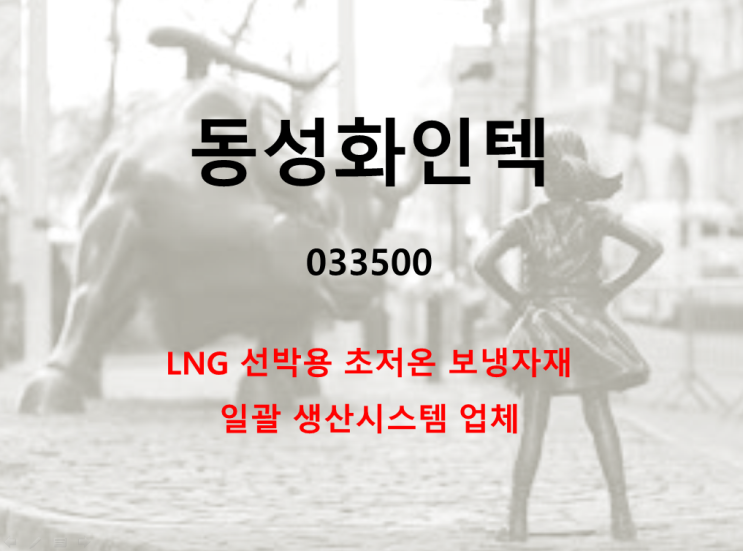  LNG 선박 초저온보냉자재 업체 동성화인텍 주가 실적 및 배당