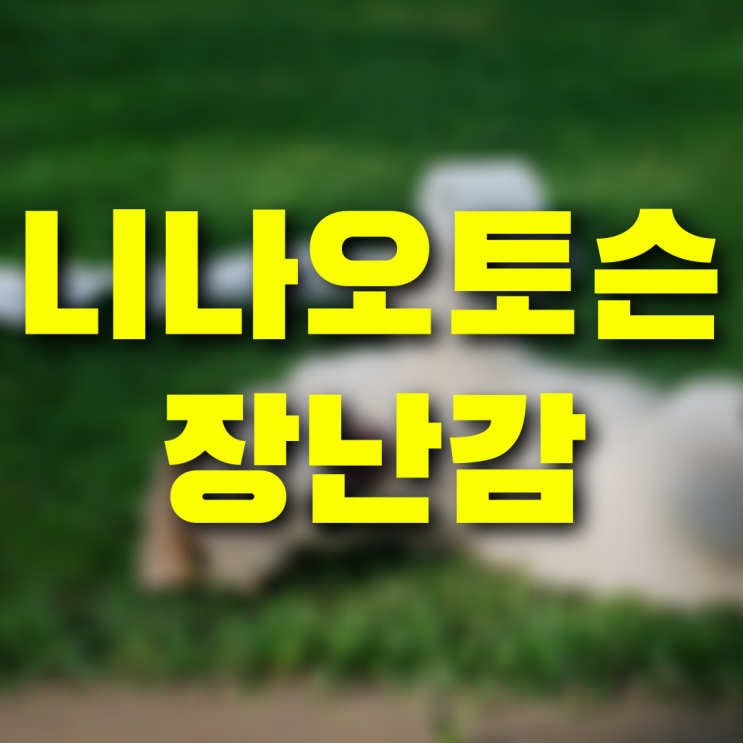니나오토슨 장난감 노즈워크 초보멍과 찰떡궁합 200%