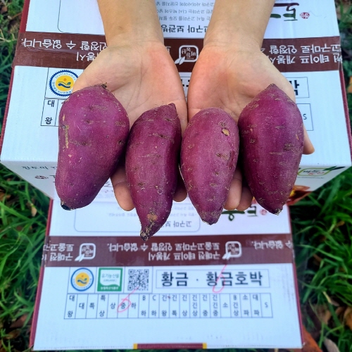 핵가성비 좋은 영암 토울고구마 무농약 고구마 꿀고구마 (사이즈별) 3kg 5kg 10kg, 한입 ··· 핵가성비 좋은 영암 토울고구마 무농약 고구마 꿀고구마 (사이즈별) 3kg 5kg 10kg, 한입 ···