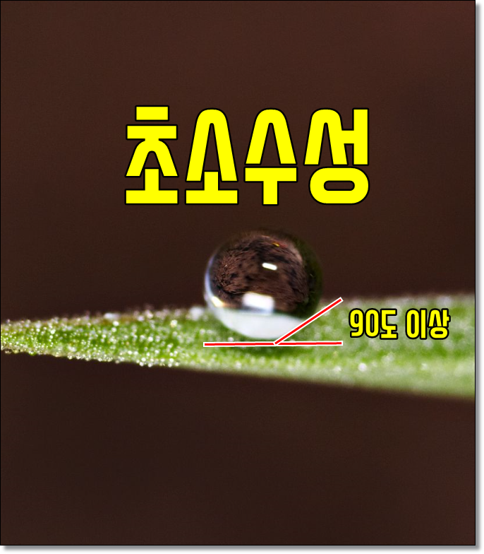  모발의 친수성과 소수성 차이