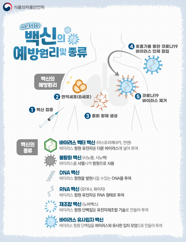  코로나19 백신접종 시기, 방법 총정리
