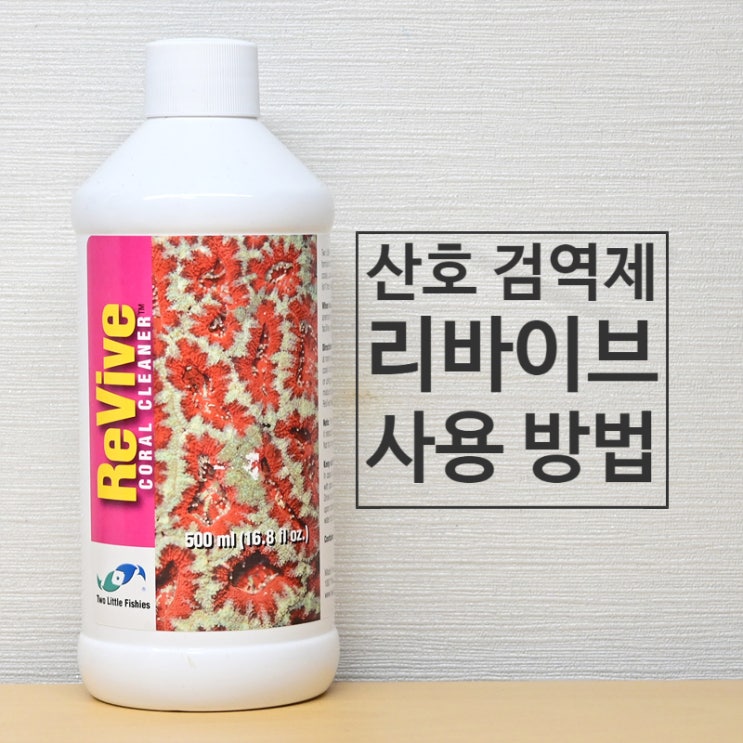  산호 검역을 위한 산호 검역제 리바이브와 산호 물 맞댐 방법 및 산호 검역 방법
