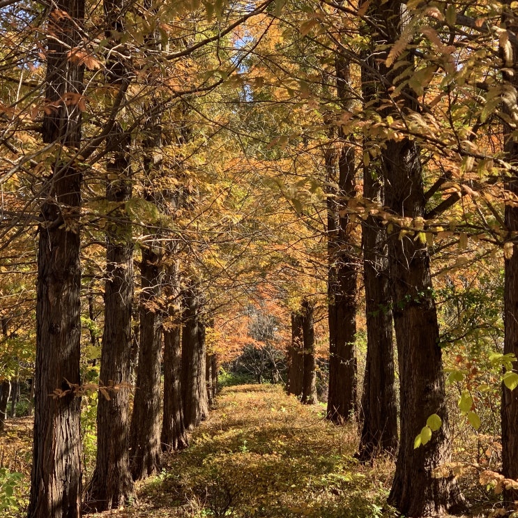  사계절 관찰 [four season,四季節]