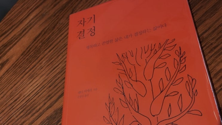  자기결정 - 피터 비에리