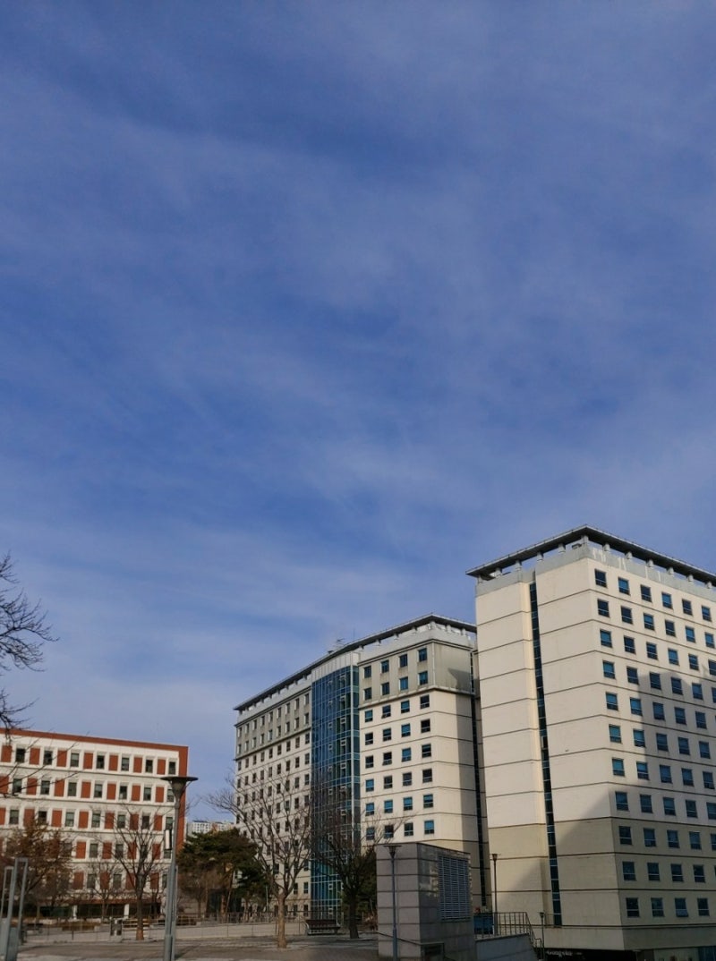 서울 서강대 캠퍼스와 가는 법(753 버스) : 네이버 블로그