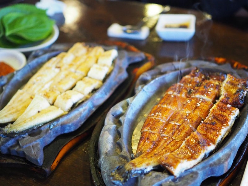 장어 칼로리 효능 알고 맛있게