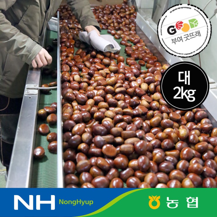 인기 급상승인 우리네농산물 굿뜨래 2020년 농협 햇밤 대사이즈 2kg / 4kg, 대2kg 추천해요 인기 급상승인 우리네농산물 굿뜨래 2020년 농협 햇밤 대사이즈 2kg / 4kg, 대2kg 추천해요