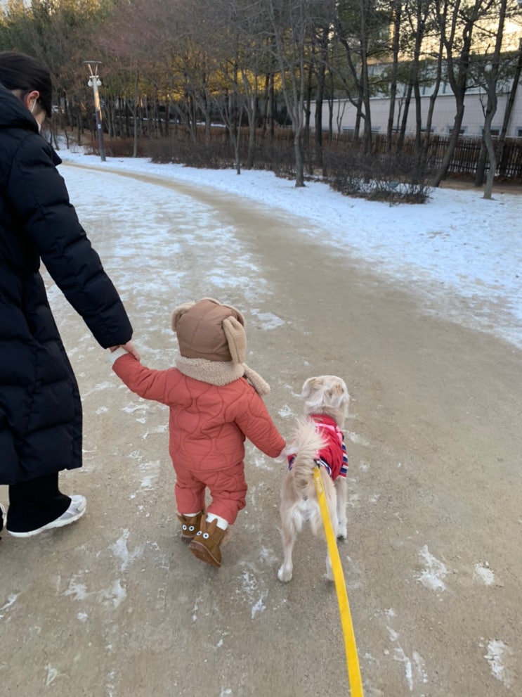 서울 창포원 강아지 산책 / 도봉산 강아지 산책 추천