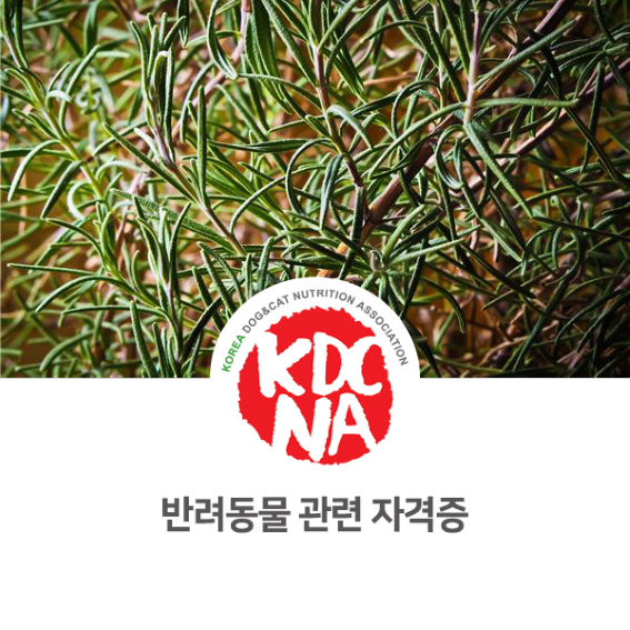  반려동물 관련 자격증 취득하는 방법은?_734 [한국반려동물영양협회/펫영양사/펫푸드자격증/강아지자연식/고양이/펫베이커리/여주/수원/수지/분당/의왕/과천/부천/구리/고양]