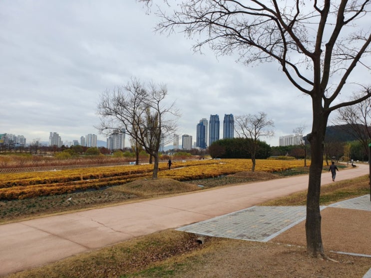  울산 아이와 가볼만한 곳 정리