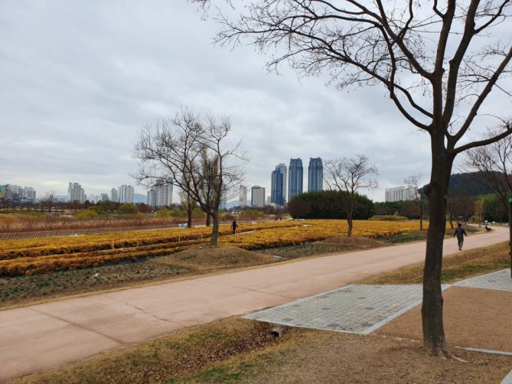 울산 아이와 가볼만한 곳 정리