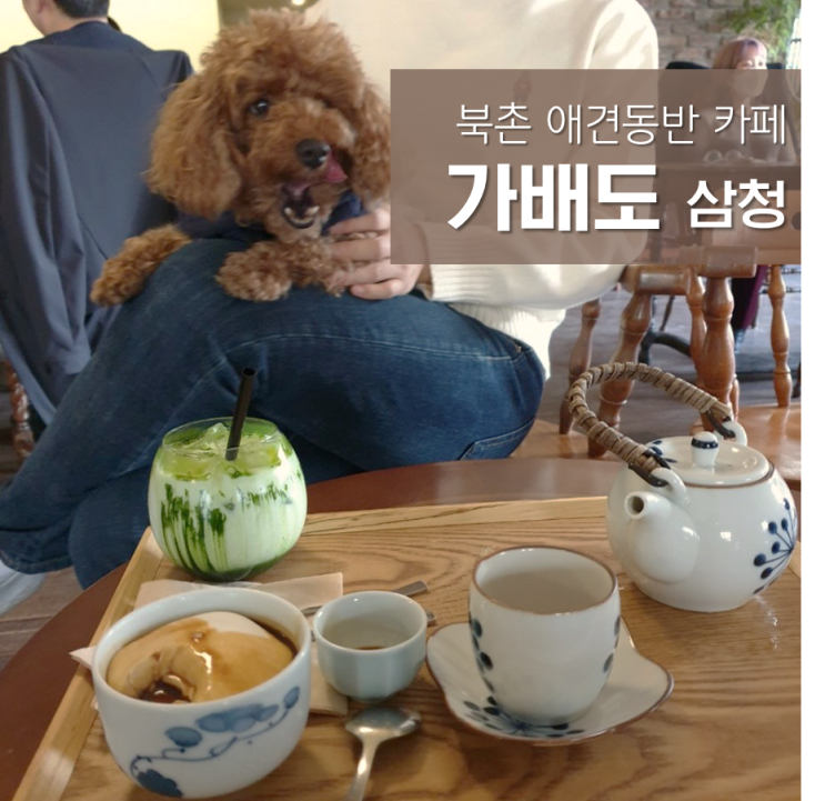  가배도 삼청 , 말차라떼가 맛있는 일본풍 분위기 삼청 애견동반카페