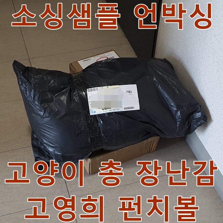  고양이 총 장난감, 고영희 펀치볼 샘플언박싱