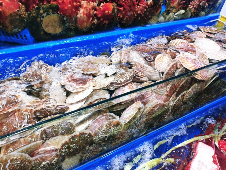  구리 농수산물시장 회 찍고 청과물시장까지 먹부림!