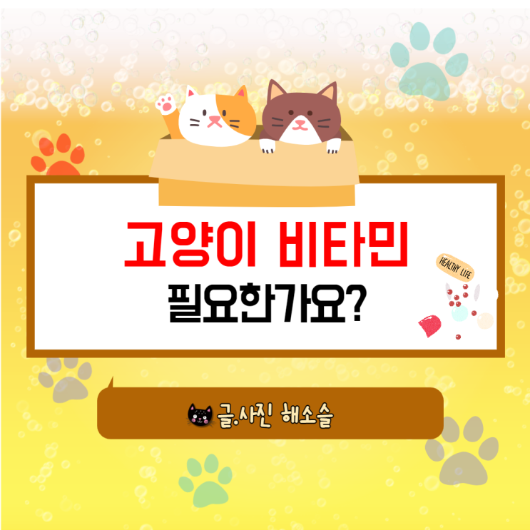 고양이 비타민, 필요한가요?