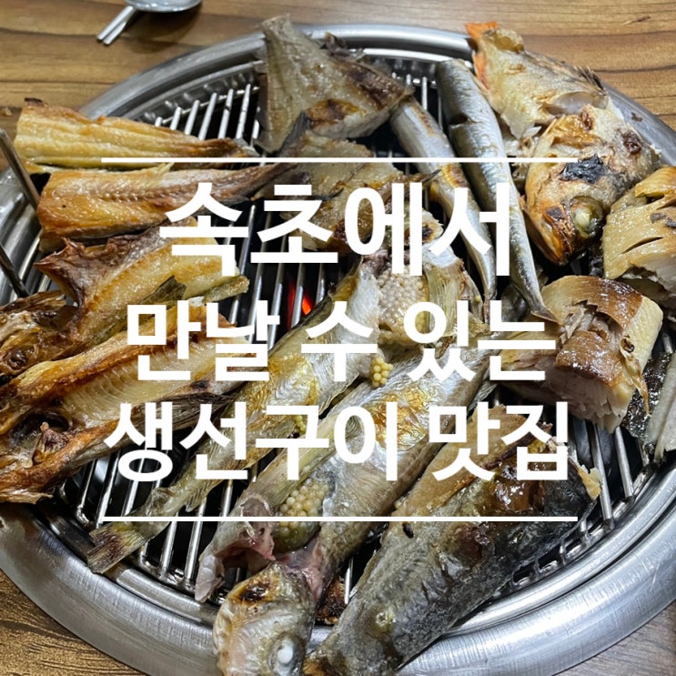 속초 생선구이 어디에서 먹을지 고민될 때는 함가네생선구이