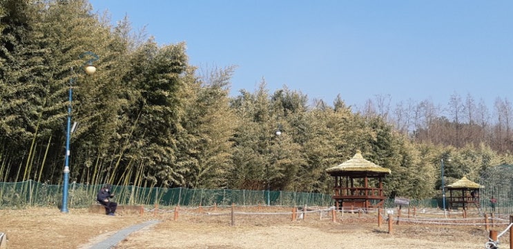  나이가 들면