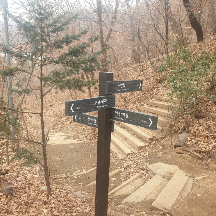  [우면산 산책 1편] 날씨도 따뜻해졌는데 등산 한번 가볼까??