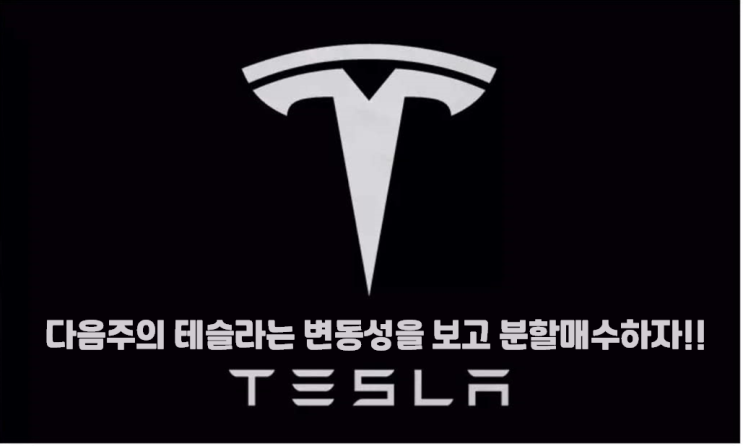  [주식꿀팁16] 테슬라..분할매수를 잠시 쉬고 있습니까? 잘하셨습니다.